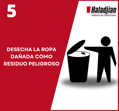 Quinto paso a seguir